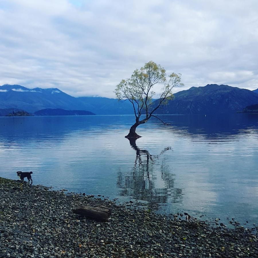 Alto On Hedditch Wanaka Luaran gambar